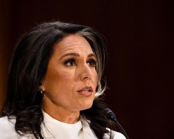 Tulsi Gabbard calls for Obama to be prosecuted over 2016 election claims