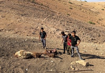 Palestinian child shot dead in West Bank by Israeli forces amid land grabs