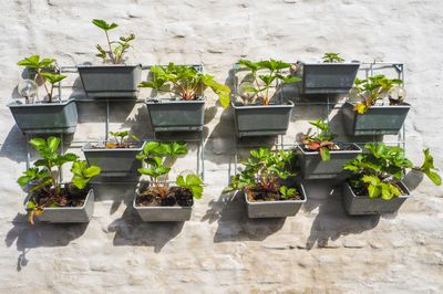10 Best Budget Small Garden Ideas You Need To See