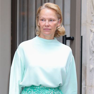 Pamela Anderson Just Carried Princess Kate's Favorite $625 Strathberry Bag