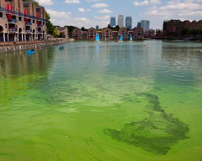 Ministers vow to tackle all forms of water pollution in England and Wales