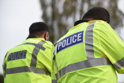 Motorist dies after car crashes onto railway track