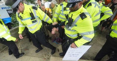 55 arrested in Westminster as protests grow over Palestine Action ban