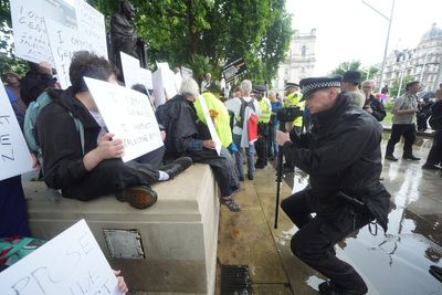 Dozens of demonstrators arrested in Palestine Action protest