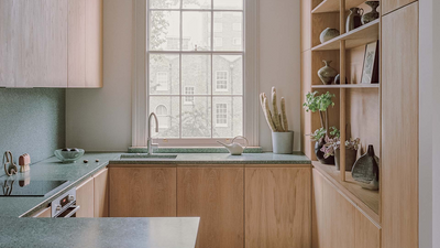 This Tiny Kitchen in Regents Park Proves That Sometimes the Smallest Spaces Can Be the Most Stylish