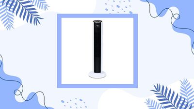 Don't bother with air conditioning - this £90 fan does the job better and with more style