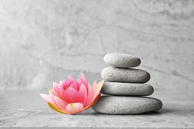 Wellness Stocks to Invest in Now