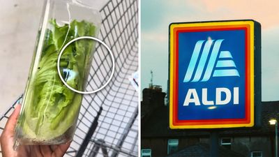 ‘I WOULD HAVE PASSED OUT’: Florida Aldi customer grabs lettuce. Then she takes a closer look