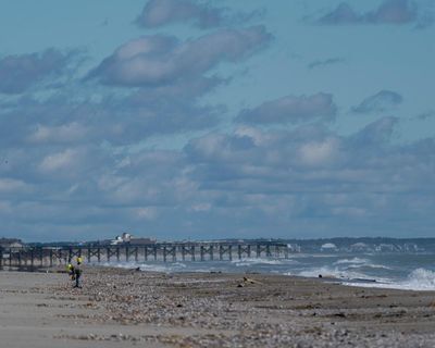 Former baseball player dies saving family from drowning in South Carolina
