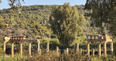 I tried switching off – and ended up finding treasure in the Attica