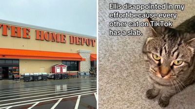 ‘I made mistakes’: Woman goes to Home Depot to get slab of concrete for her cat. She didn’t expect it to be this hard
