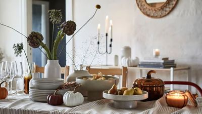 IKEA's new fall collection combines rustic farmhouse style with a chic Scandinavian aesthetic – it's cozy, timeless and very affordable