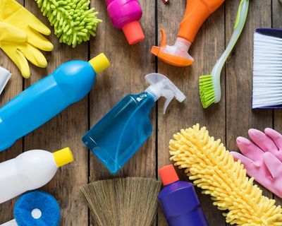 At 82, I’m completely at home with bacteria