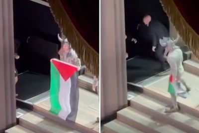 Royal Opera House cast member unfurls Palestine flag during curtain call