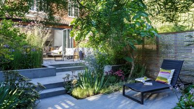 6 ways to restore your damaged garden to glory after removing a tree