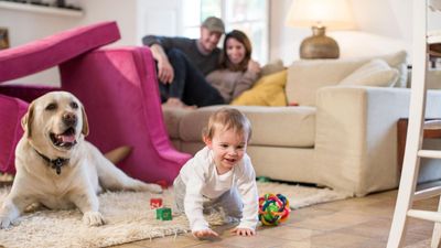 How I stopped my dog becoming jealous of my newborn