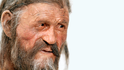 Ötzi the Iceman and his neighbors had totally different ancestries, ancient DNA study finds