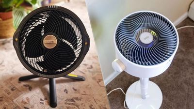 Air circulator vs fan — what's the difference and which should you buy?