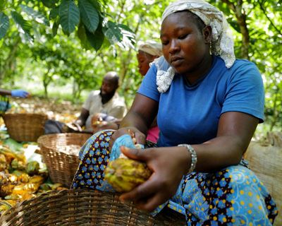 Rising food prices driven by climate crisis threaten world’s poorest, report finds