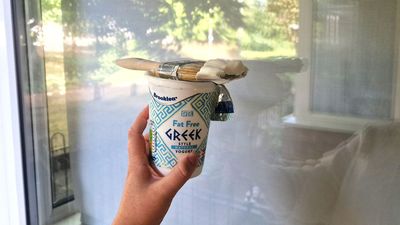 People are spreading yogurt on their windows to beat the heat this summer — and there's a scientific reason