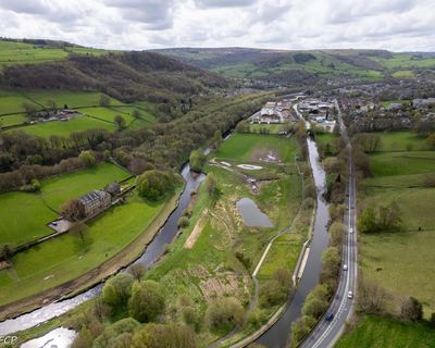 Country diary: This wetland is dry and scratchy as a loofah – for now