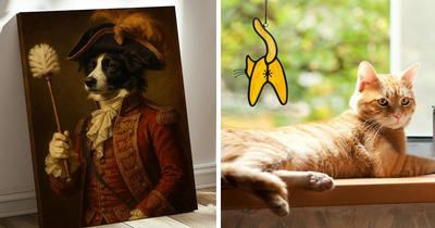 Our Search History Is A Mess But At Least We Found These 23 Gloriously Weird Amazon Gems