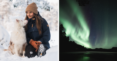 I Left The City For A Cabin In The Woods, And Finally Found My True Home