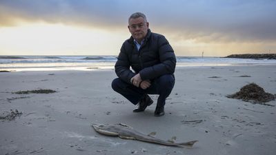 'Incredibly disturbing': federal help for algae crisis