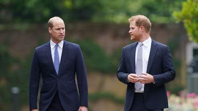 ‘Harry is seriously worried’: Apparently, Prince Harry truly fears his brother becoming the king