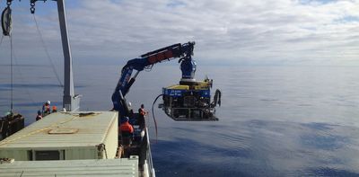 Microbes in deep-sea volcanoes can help scientists learn about early life on Earth, or even life beyond our planet
