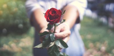 The hidden history behind every rose blooming this summer