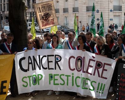What has it taken to unite France’s divided voters? A hated, toxic chemical