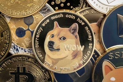 This Penny Stock Wants to Become the MicroStrategy of Dogecoin