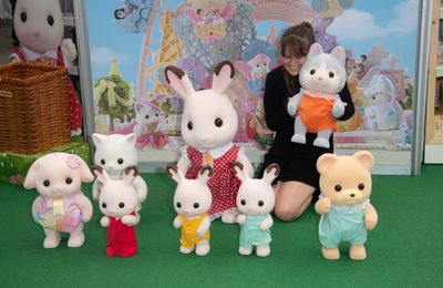 Sylvanian Families embroiled in TikTok drama legal row