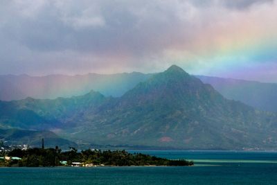 Urgent warning for Hawaiian tourists as brain parasite cases continue: ‘Don’t eat raw food’