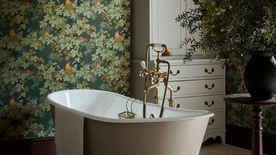 10 things to never put in a toilet – master plumbers warn these will wreck your system