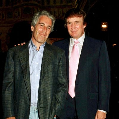 Jeffrey Epstein accuser urged FBI to investigate Trump decades ago – report