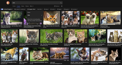 Sick of seeing AI images everywhere online? DuckDuckGo will let you filter out the slop from your search results