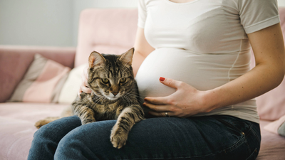 Pregnant women and cat litter: One risk you need to know