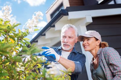 7 State Laws That Let Your Neighbors Legally Fine You
