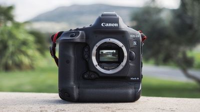 Kodak tops compact camera charts, Canon reigns for DSLR sales, and Sony dominates mirrorless market in Japan H1 2025