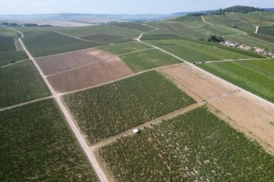 France Jails Three In Champagne 'Slaves' Case