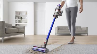 I tested the Dyson V11 in a busy pet shelter and was amazed by its performance on animal hair, dirt, dust – and just about any mess I threw at it