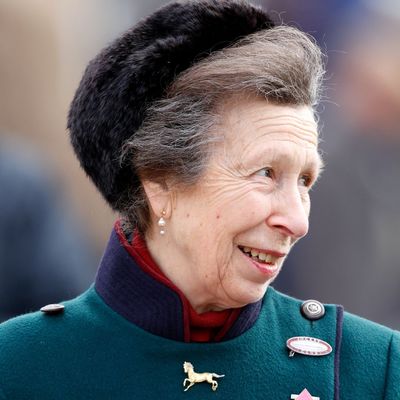 Princess Anne's Friend Reveals Her Terrifying Horse Accident Was "So Much Worse" Than the Royal Family "Let On"