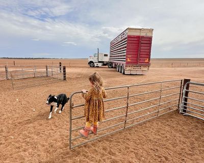 Cold front to dump ‘decent dose’ of rain on drought-affected parts of south-east Australia
