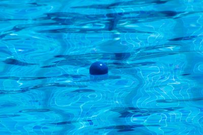 Above Ground Pools Recalled After Deaths of Nine Children: Brands and Fatal Hazard Revealed