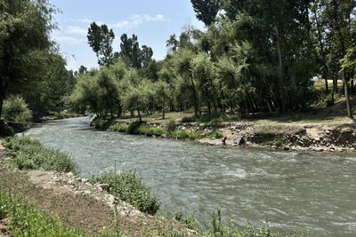 Otters spotted in Kashmir waters, and residents are both thrilled and wary