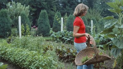 Martha Stewart has a small house dedicated entirely to vintage and antique baskets – they are just as useful as they are charming, and shoppable from $30