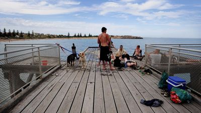 Fears another industry will fall victim to algal bloom