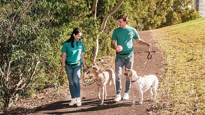 Aussie pet care website to be sold for $62 million